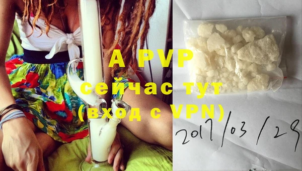 прущие крисы Баксан