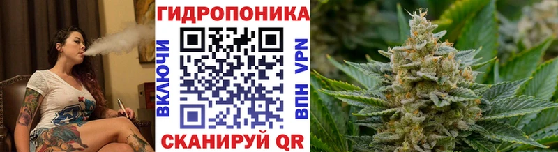 Бошки марихуана SATIVA & INDICA  Мариинский Посад 